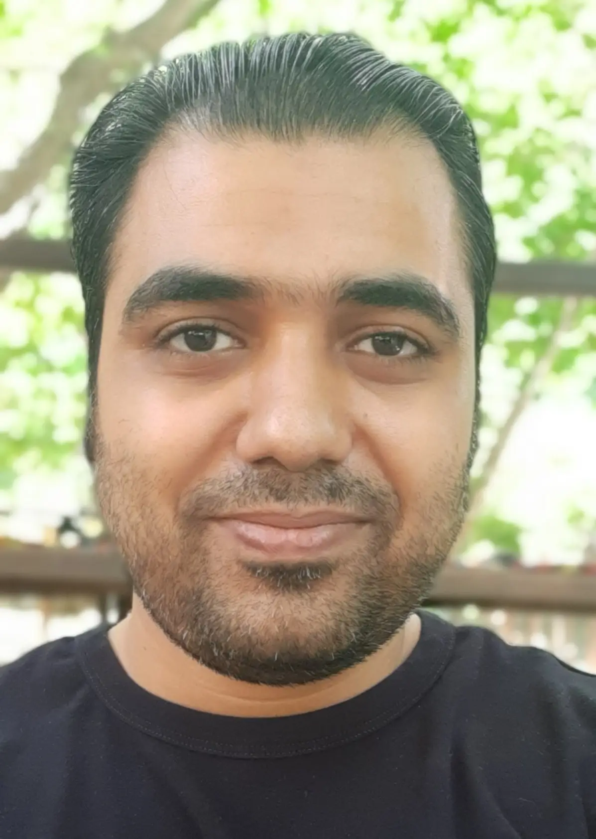 محمدحسین میرزاده